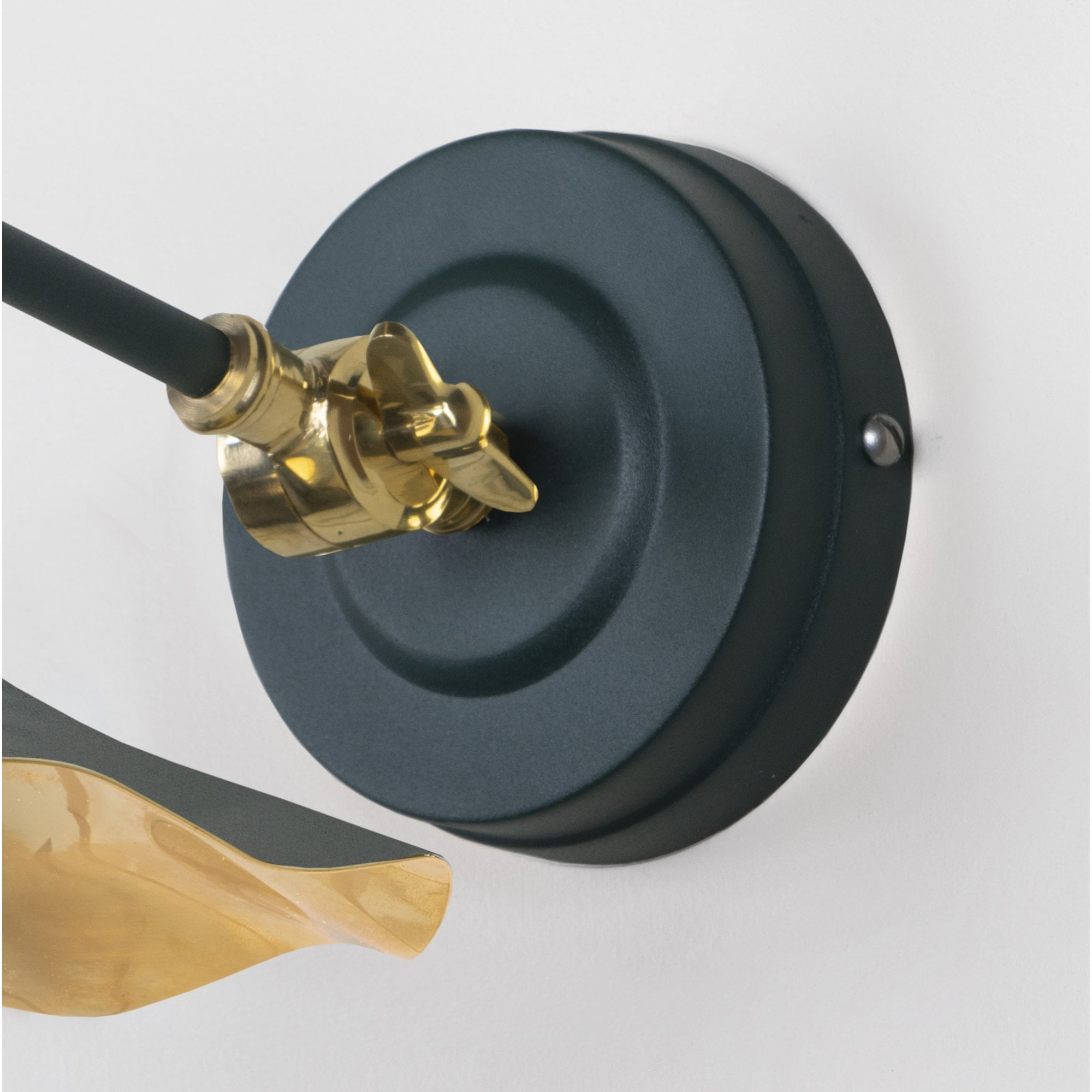 From The Anvil Smooth Brass Flora Wall Light - Dingle (Rich Green)