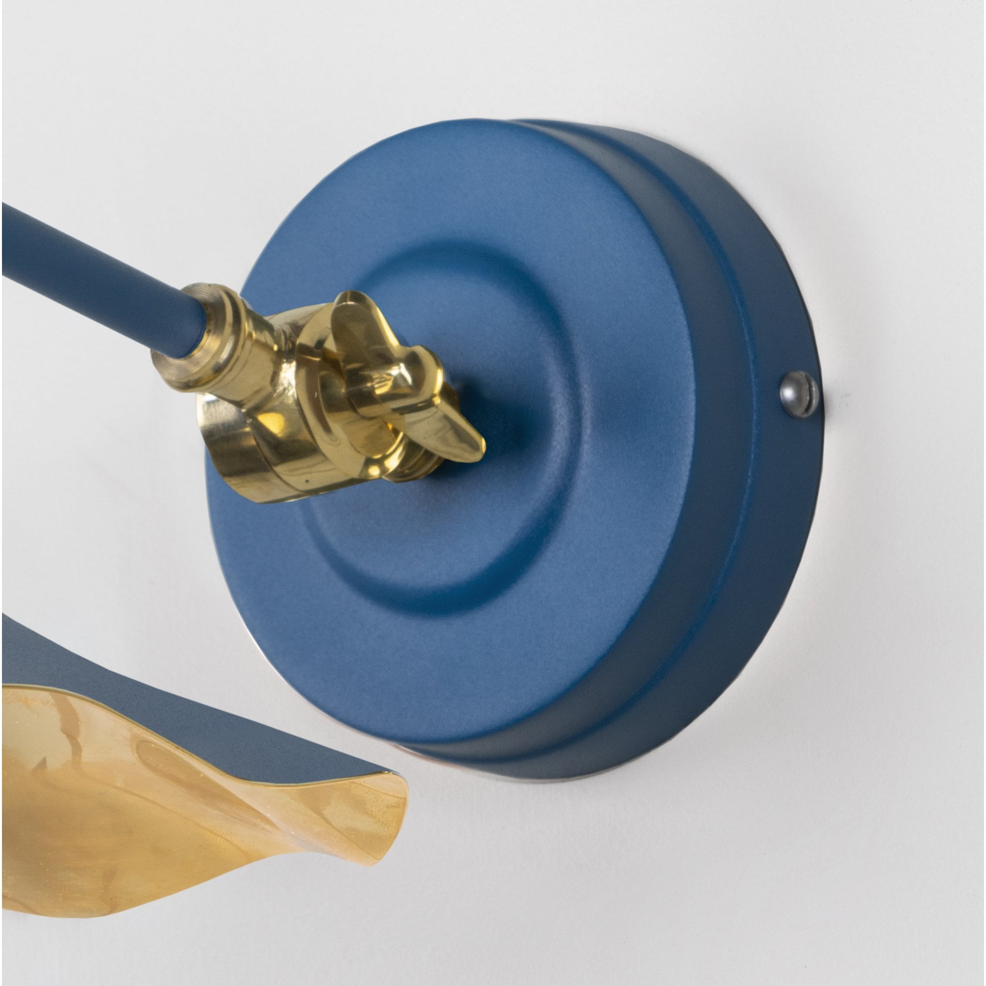 From The Anvil Smooth Brass Flora Wall Light - Upstream (Blue)