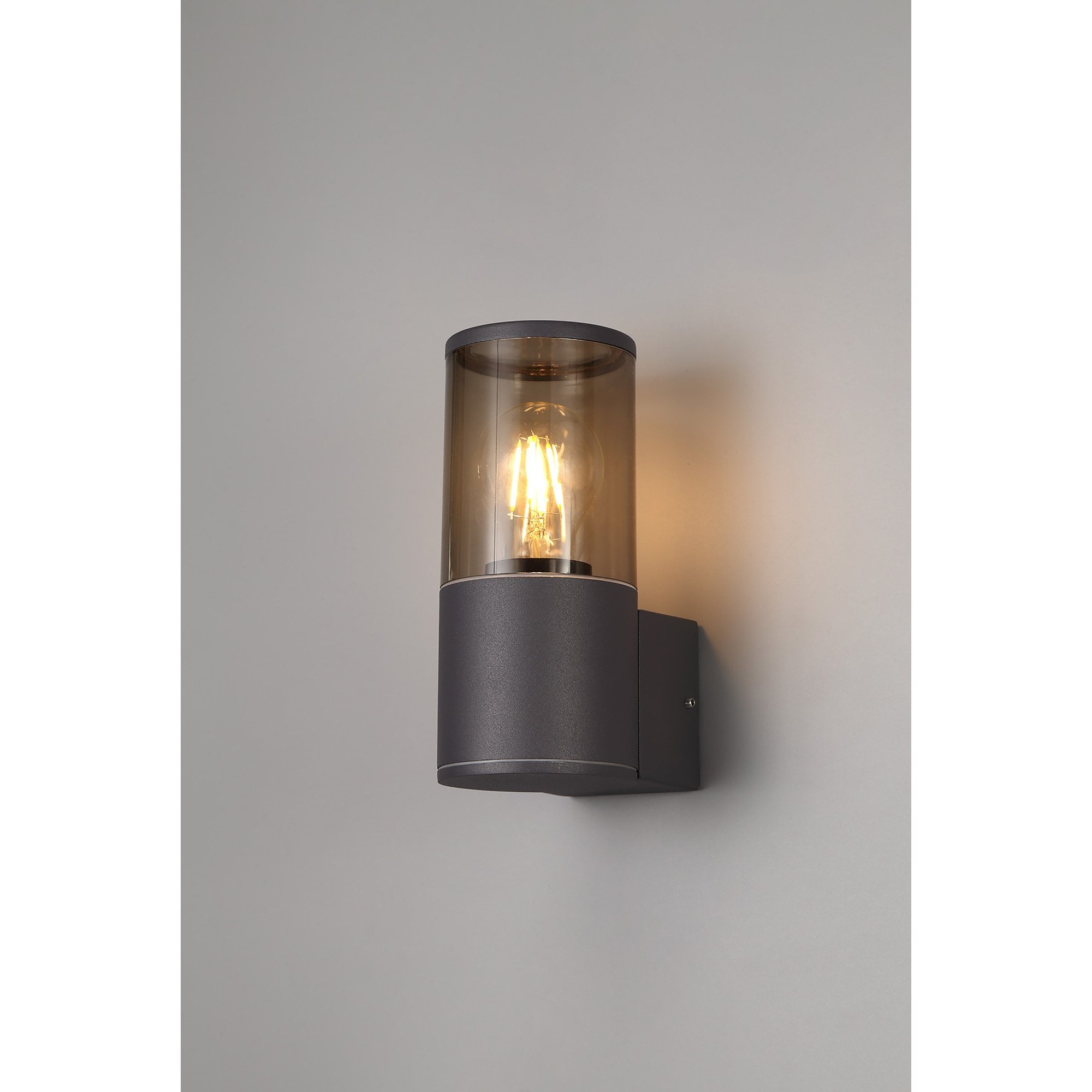 Fabula Harwater Single Wall Lamp - Anthracite & Smoked PC - IP54