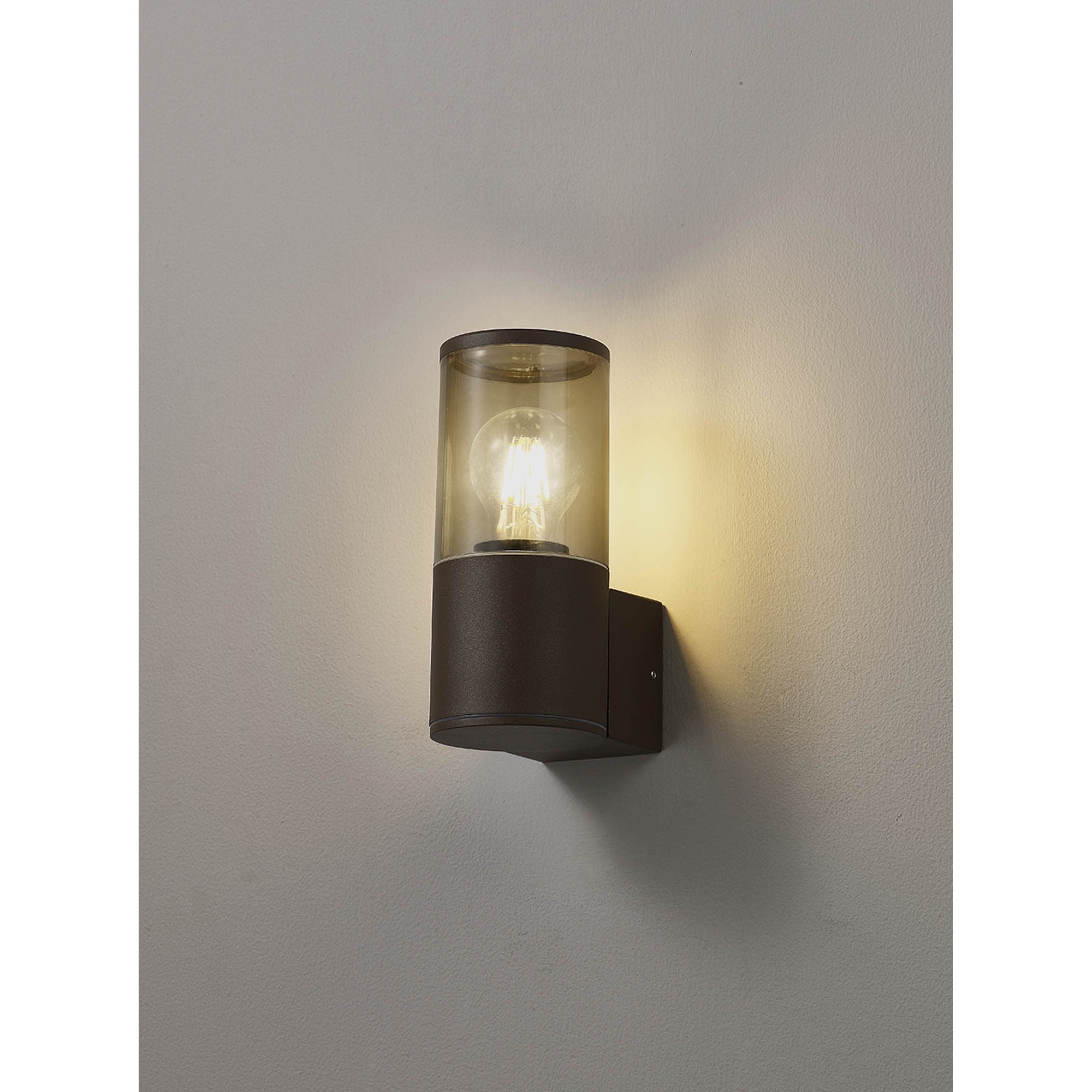 Fabula Harwater Single Wall Lamp - Matt Brown & Smoked PC - IP54