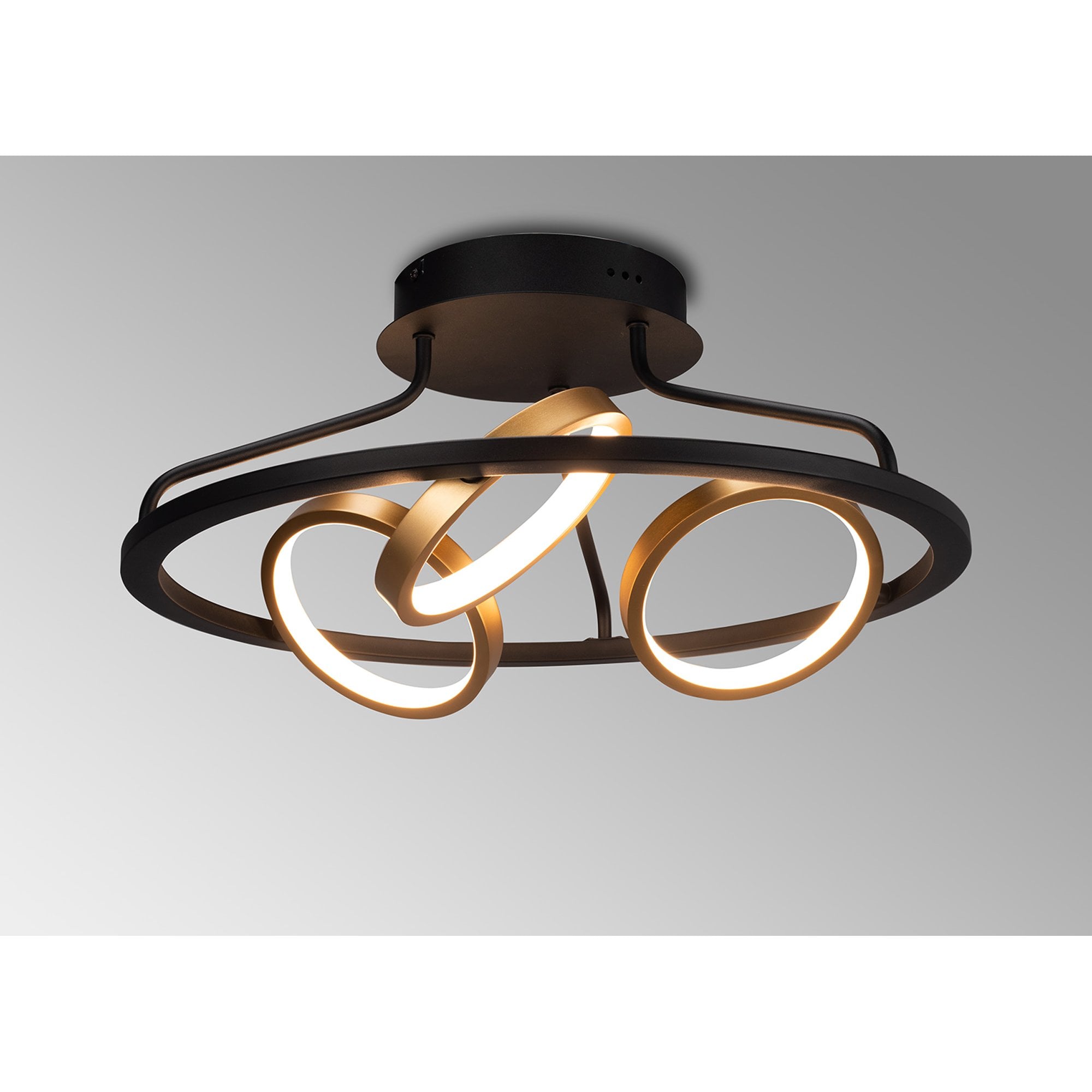 Fabula Hawksmouth 3 Ring Round LED Semi-Flush Light - Satin Black & Gold
