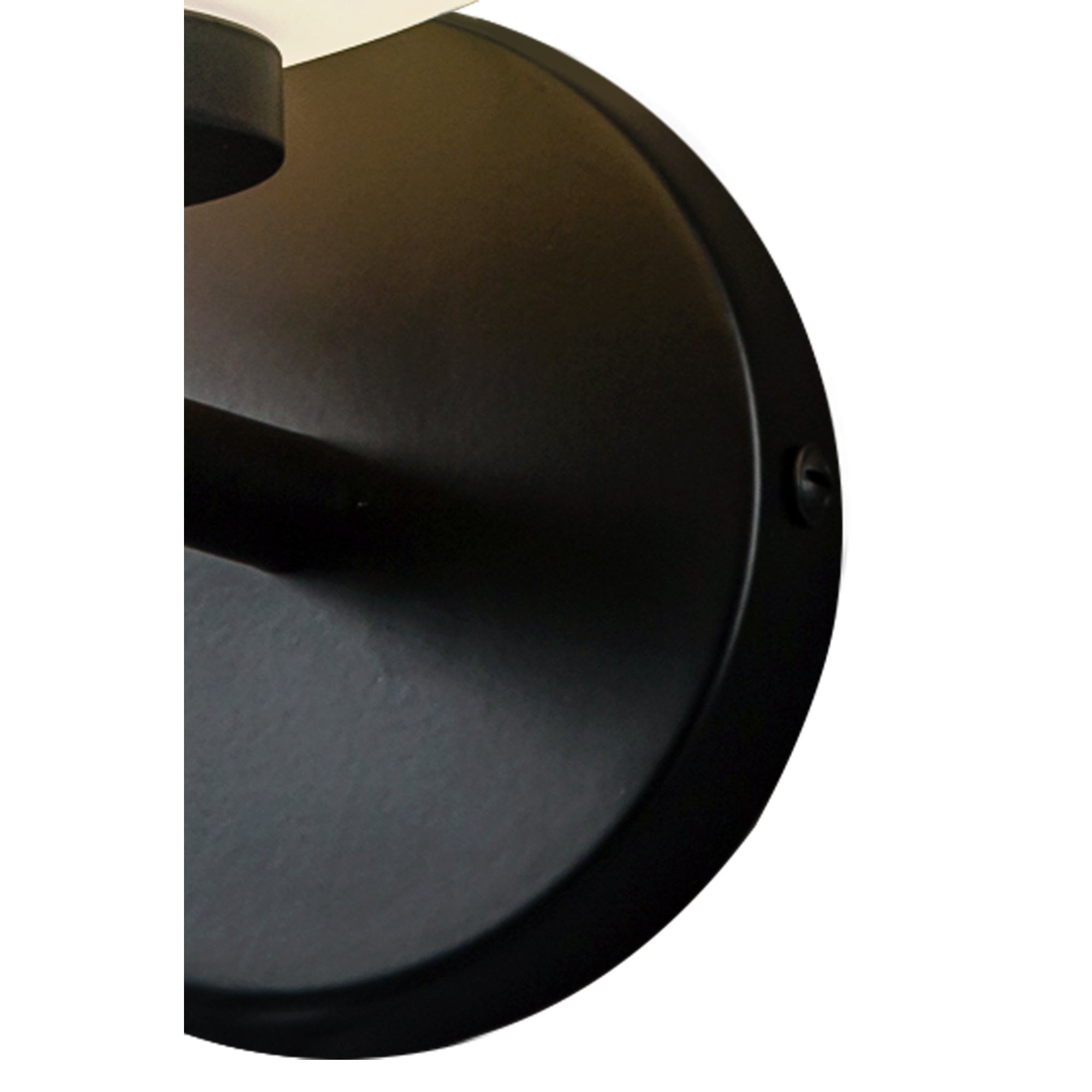 Fabula Littleton Small Single Oval Ball Wall Light - Matt Black & Frosted White Glass