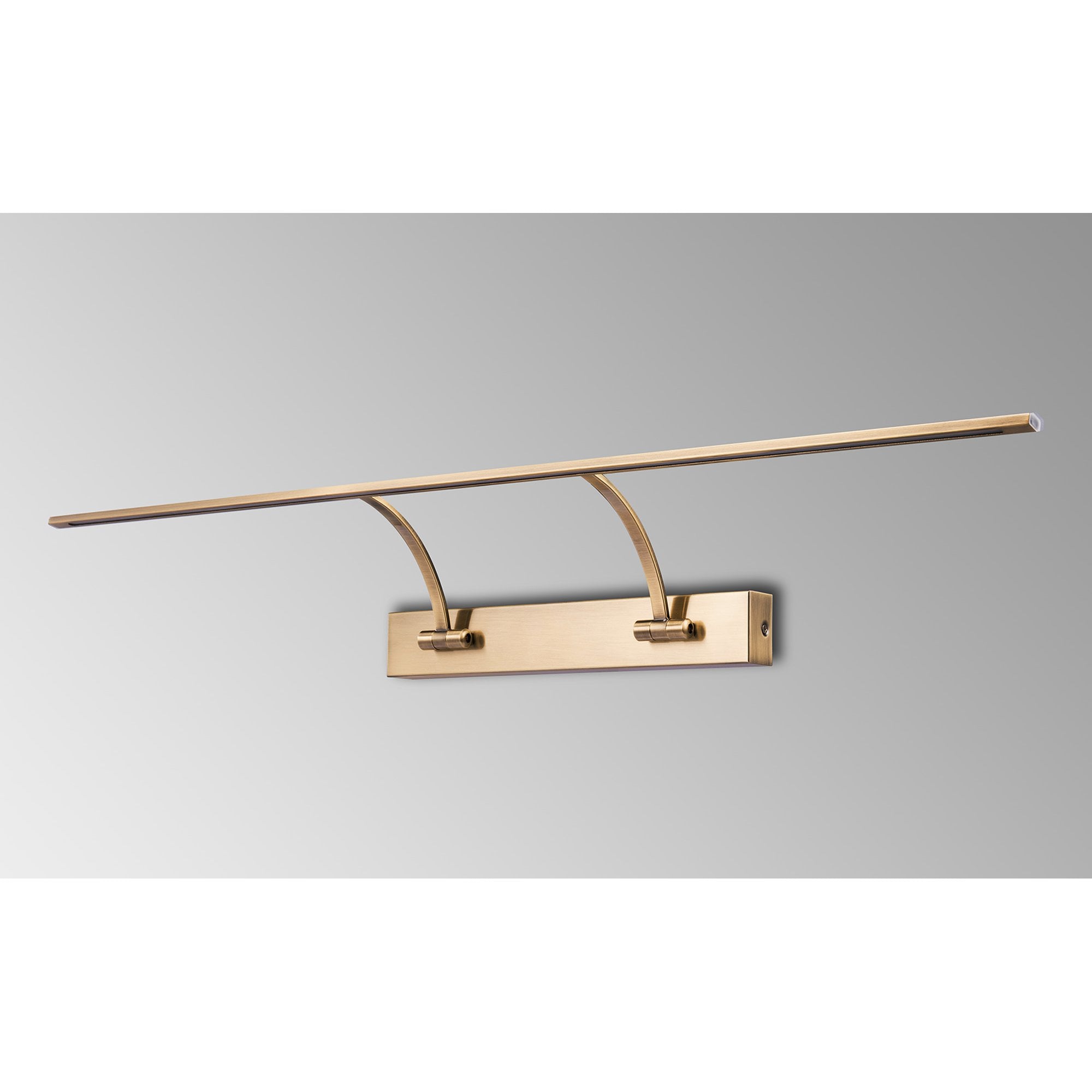 Fabula Plumtree Large 2 Arm LED Wall Lamp/Picture Light - Antique Brass