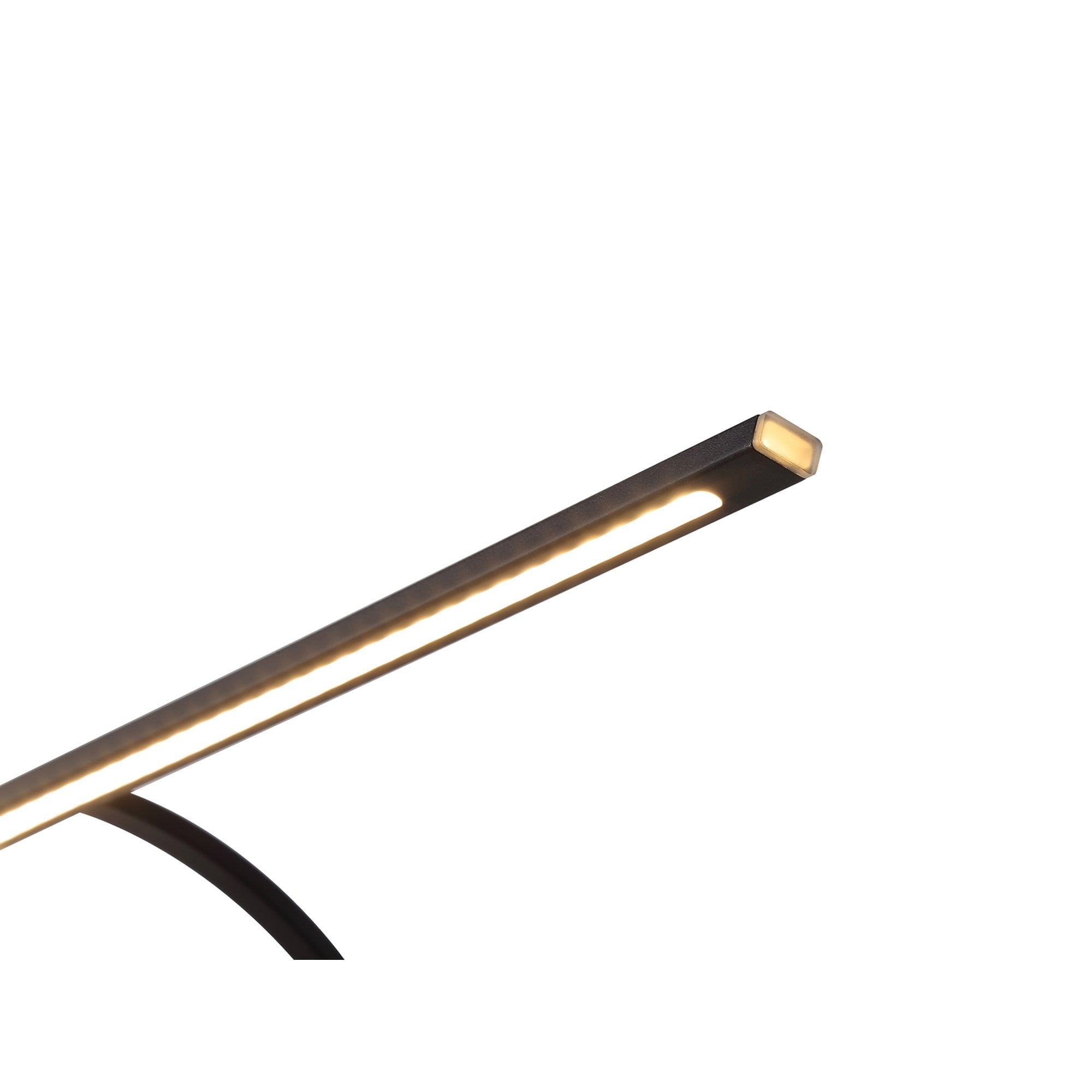 Fabula Plumtree Small 2 Arm LED Wall Lamp/Picture Light - Sand Black