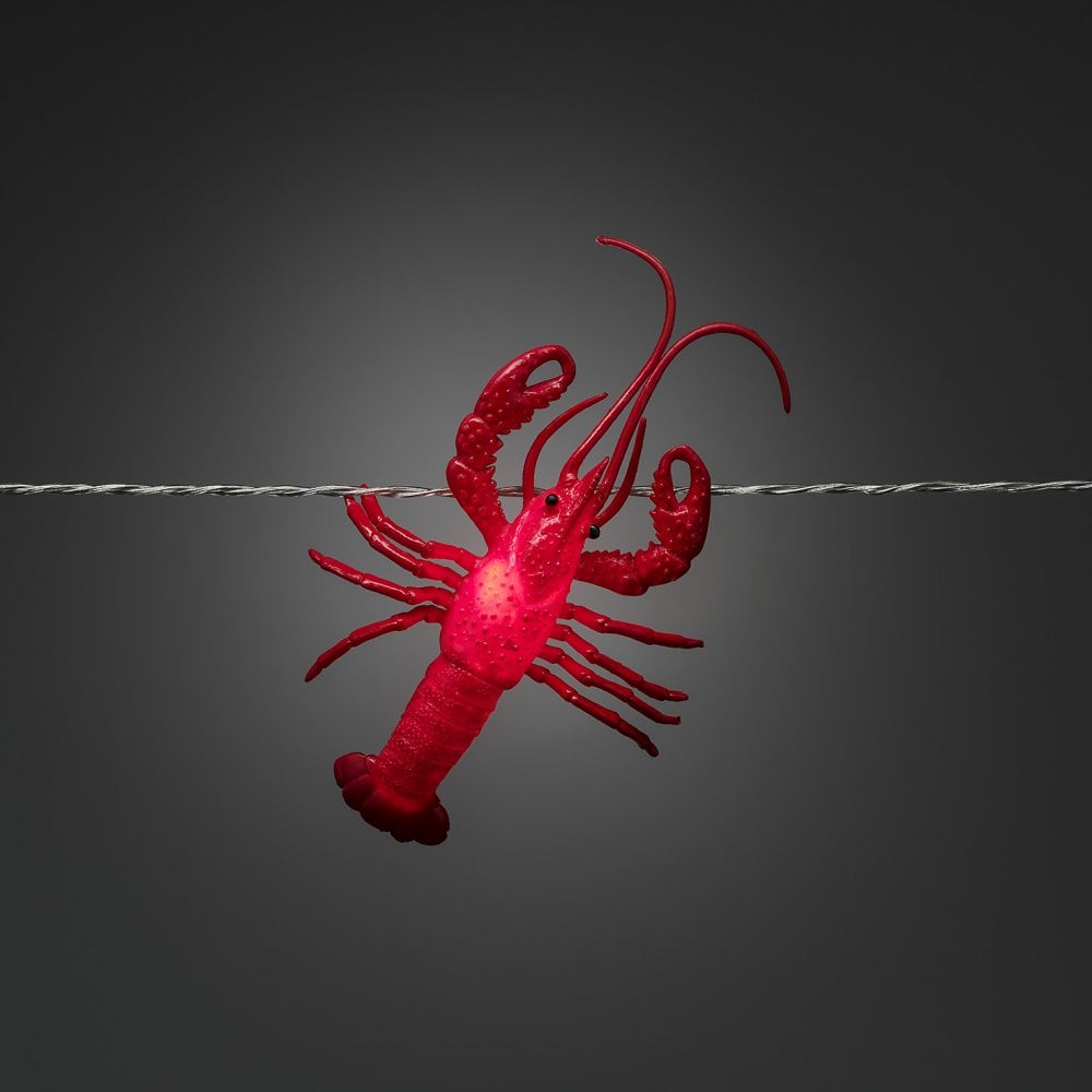 Konstsmide Festoon 7m Decorative Light Set - 8 LED Crayfish - Battery Operated