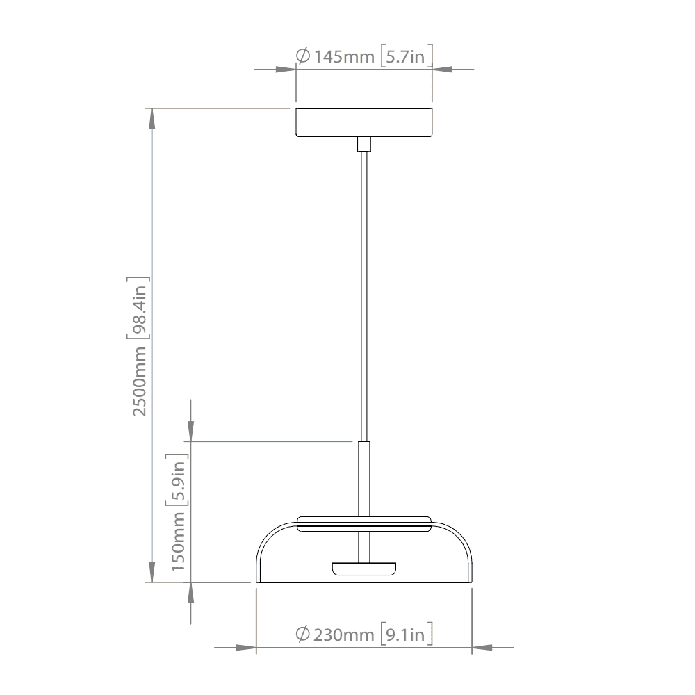 Nuura Blossi 1 Light Pendant - Nordic Gold & Clear Glass
