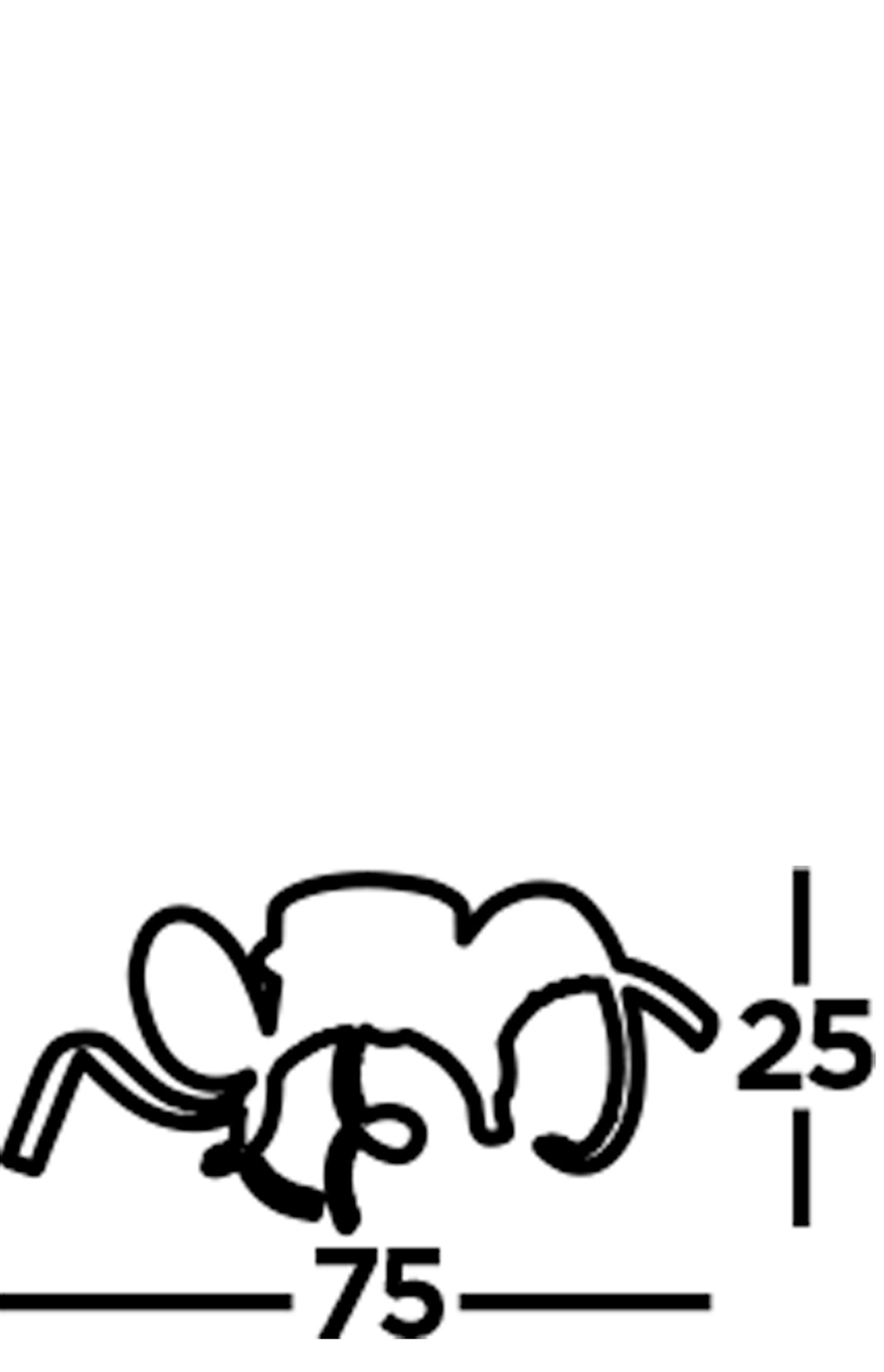 Searchlight Tennyson LED Flush Ceiling Light - Chrome & Clear Crystal