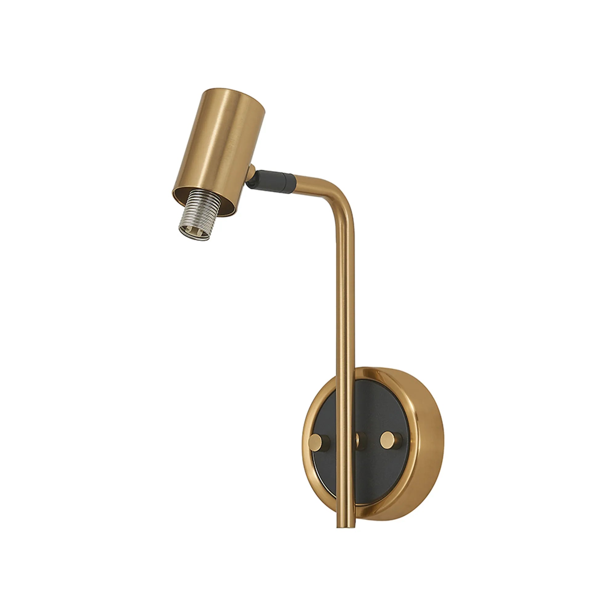 Bradley Wall Light - Adjustable Arm - Brass & Black