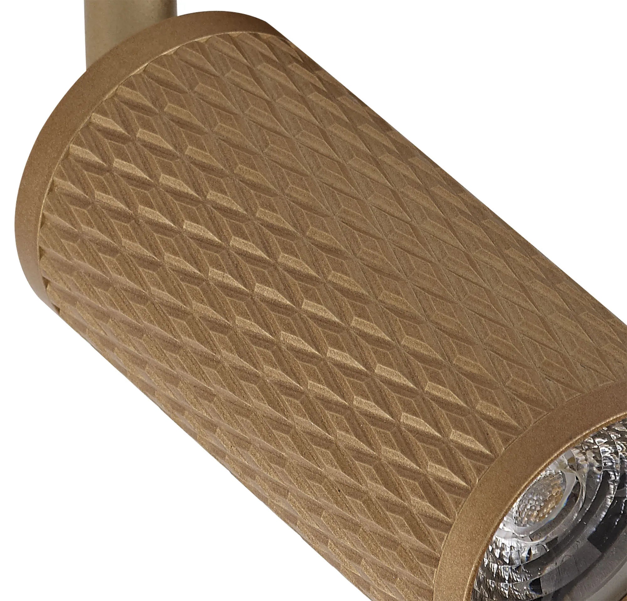 Summerfield Track Adjustable Spot Light - Champagne Gold